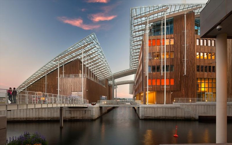 5-hot-mouseia-ston-kosmo-gia-to-2014-hot-mouseia-ston-kosmo-gia-to-2014