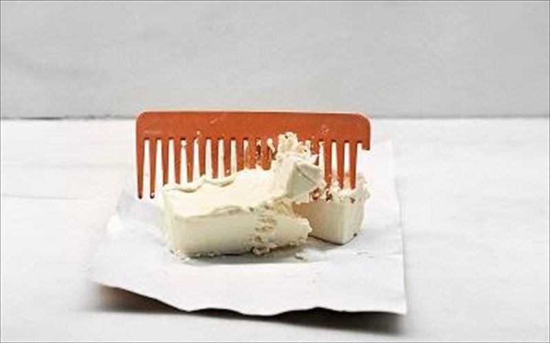 provisions-skinothetimeni-nekri-fusi