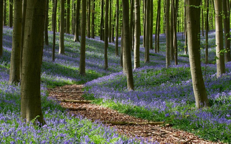 7-taksidia-gia-na-upodexteite-tin-anoiksi-taksidia-gia-na-upodexteite-tin-anoiksi