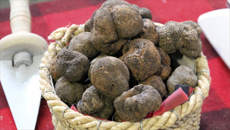 troufa-ena-diamanti-apo-ta-bathi-tis-gis