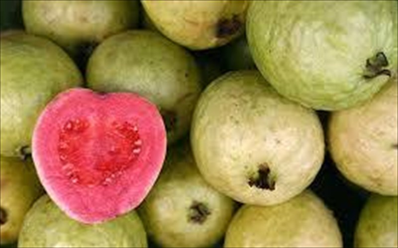 7-souper-trofes-piges-proteinis-souper-trofes-piges-proteinis