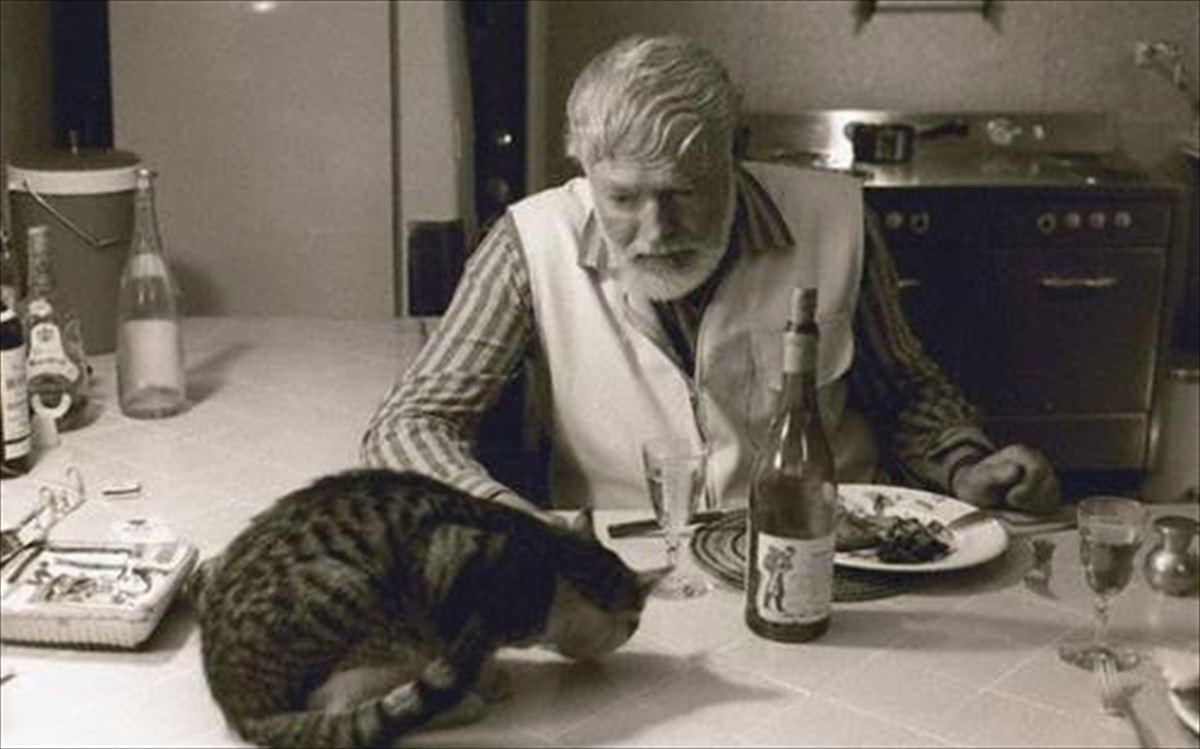hemingway-cat