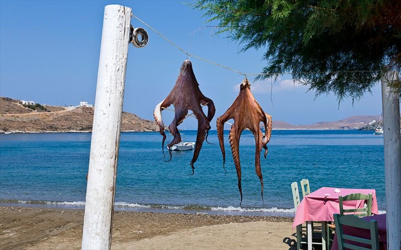 6-kontinoi-proorismoi-gia-tin-protomagia-kontinoi-proorismoi-gia-tin-protomagia