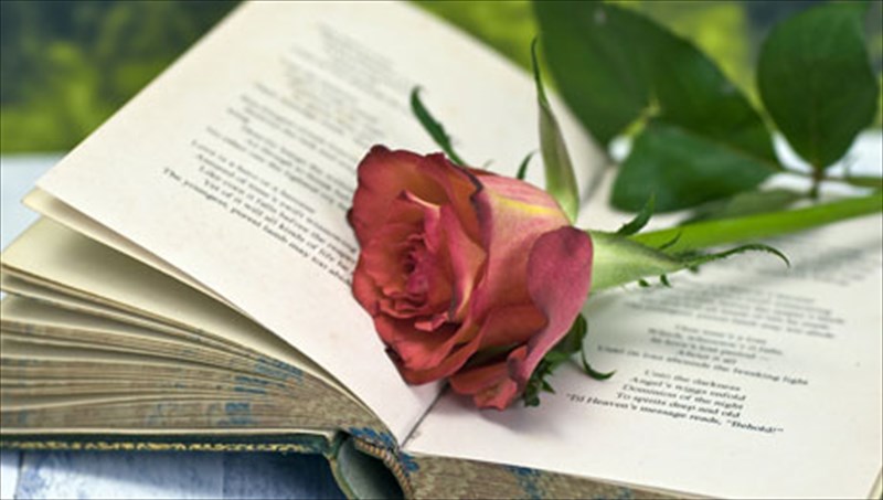 ekdiloseis-ston-iano-gia-tin-pagkosmia-imera-poiisis