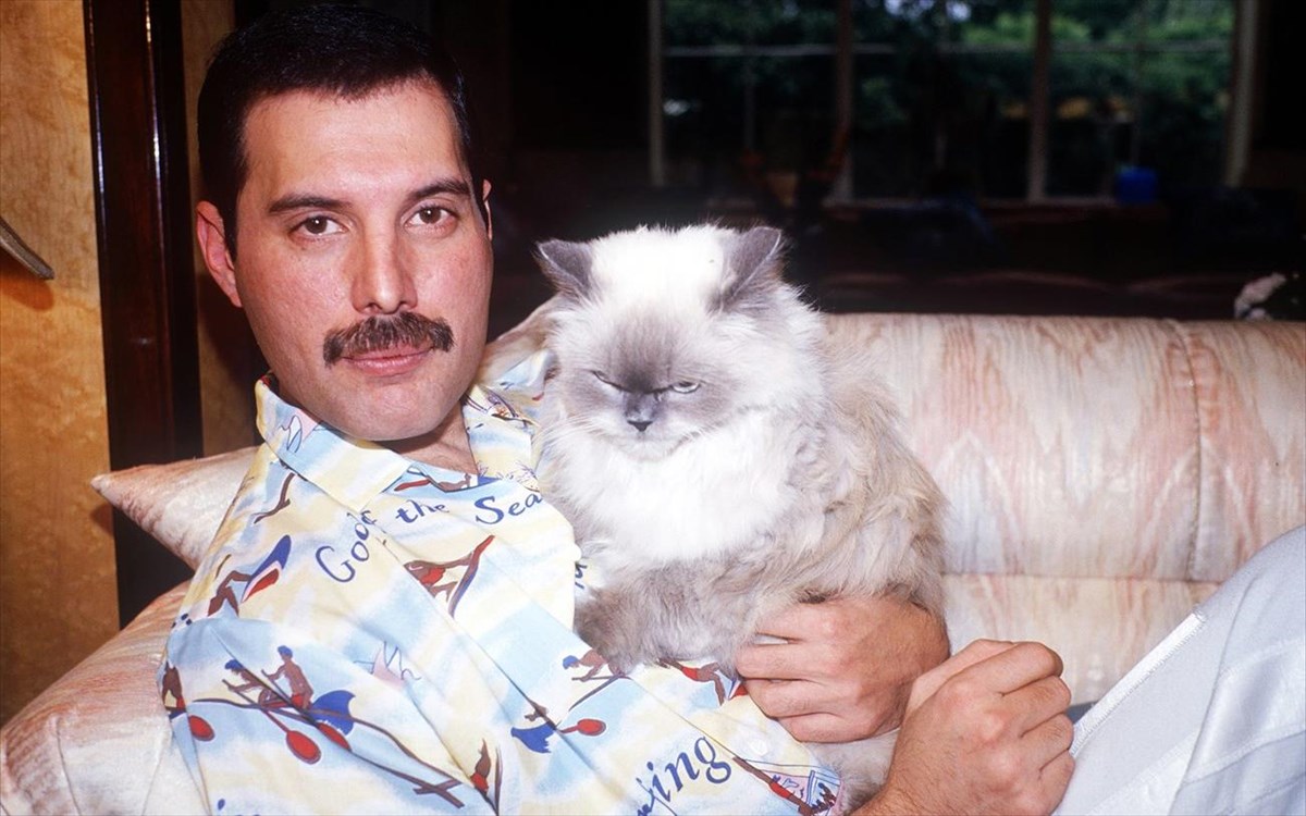 freddie-mercury