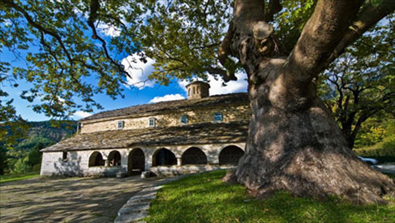 papigko-agria-kai-monadiki-omorfia