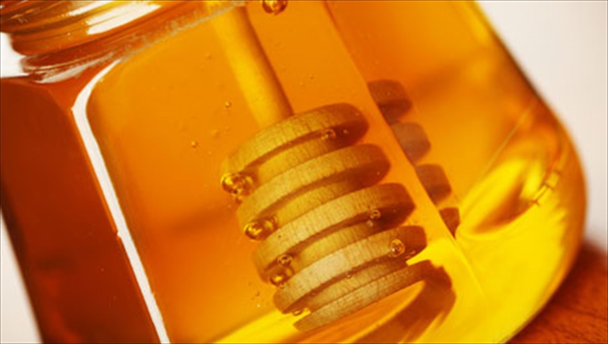 mnimielefanta-me-ti-boitheia-tis-diatrofis