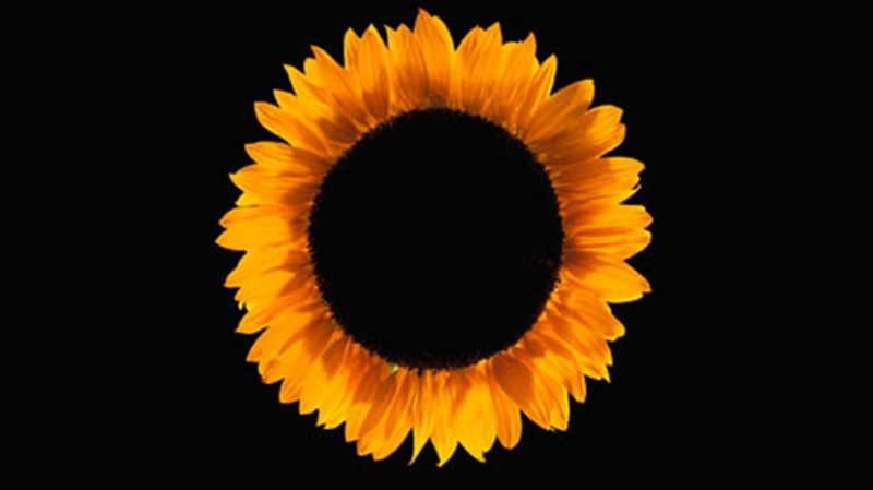 to-megaleio-tis-fusis-stin-ekthesi-tou-mouseiou-fotografias-thessalonikis