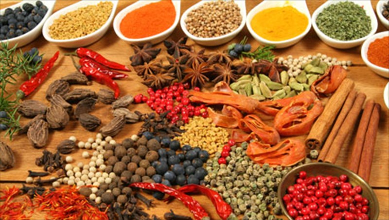 trofes-giaoneira-gluka