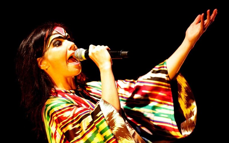 10-pragmata-pou-isos-den-gnorizate-gia-ti-bjork