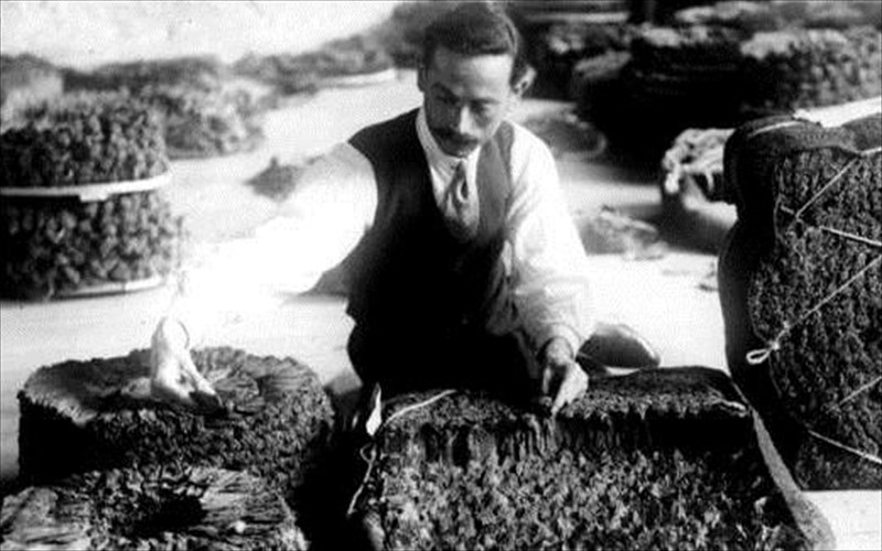 i-istoria-tou-kapnou-sto-mouseio-mpenaki