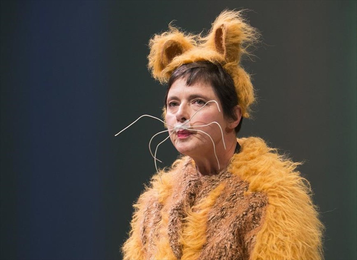 izampela-roselini-foto