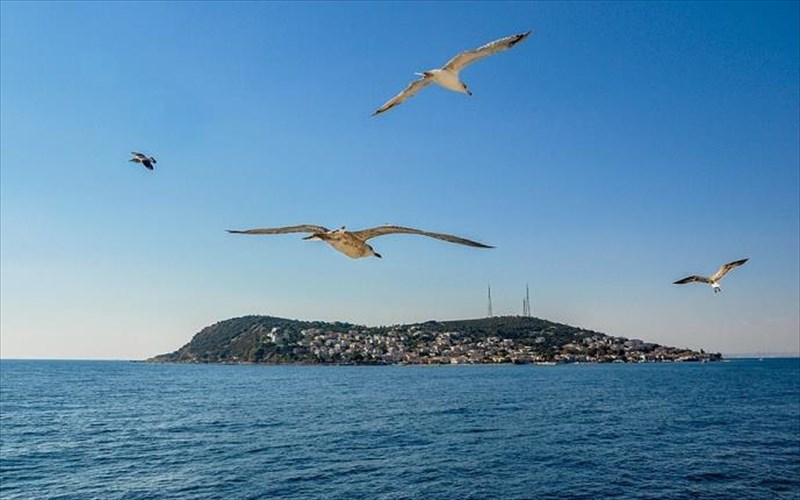 rantebou-sta-prigkiponisia