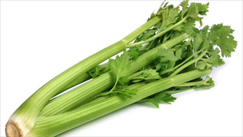 seleri-ena-fusiko-farmako