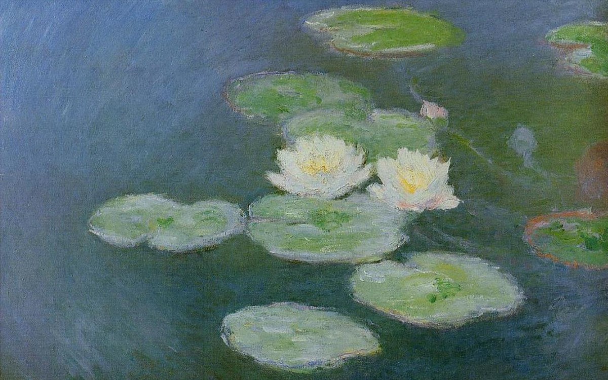 water-lillies2