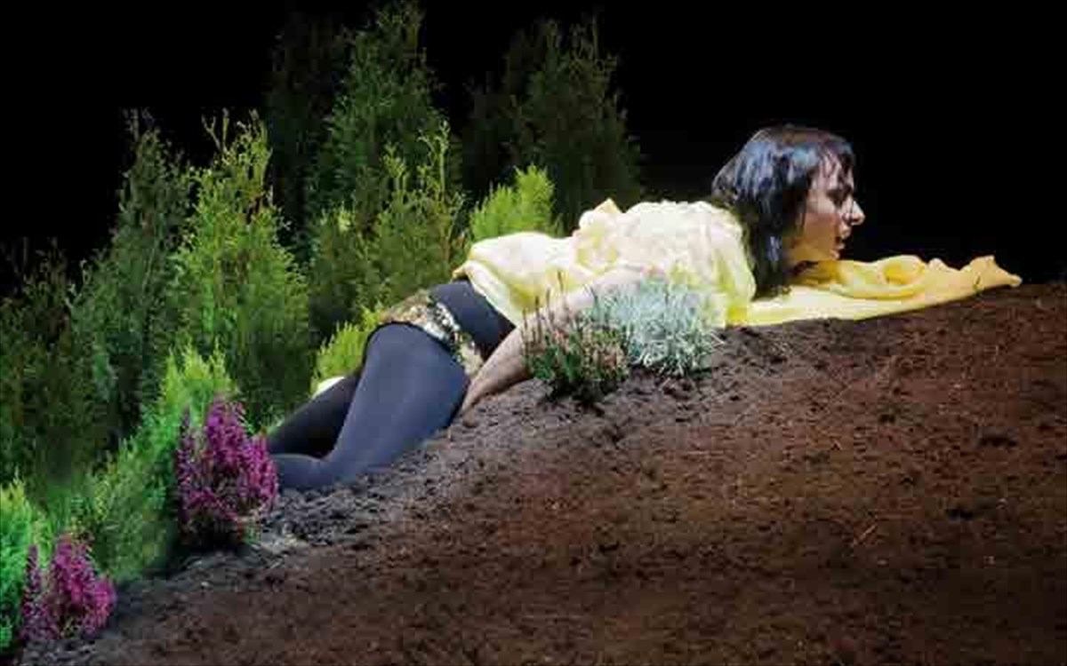 anxelika-lintel-foto-2014