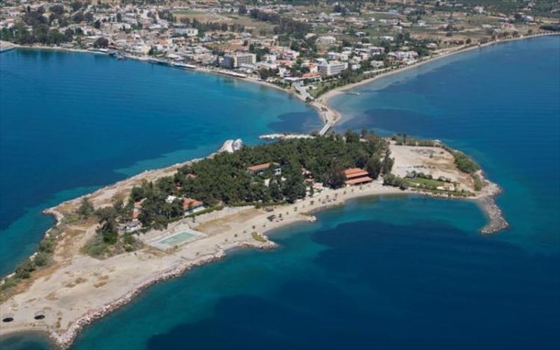 dream-festival-medusa-2014-penthimero-festibal-stin-eretria