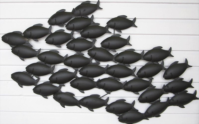 kai-ta-psaria-bgikan-na-poleµisoun-enantia-stous-anthropous