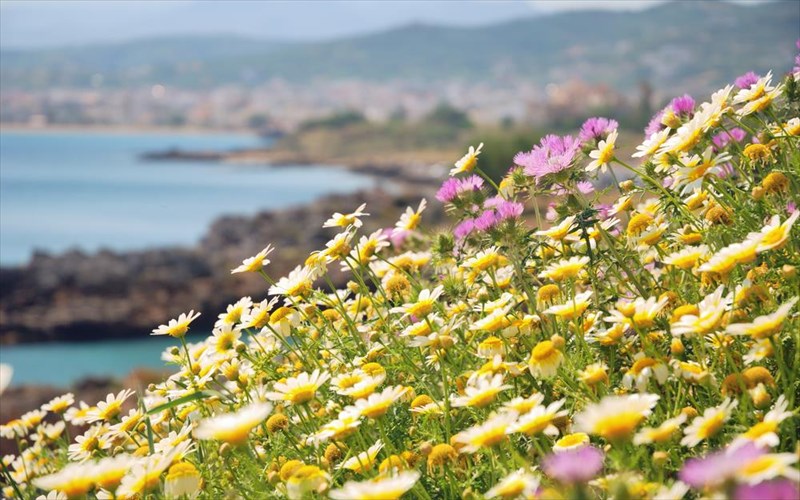 h-huffington-post-anakaluptei-tin-aigina