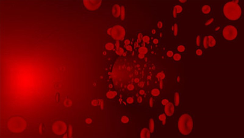 xolisteroli-i-kali-i-kaki-kai-i-oliki-oliki