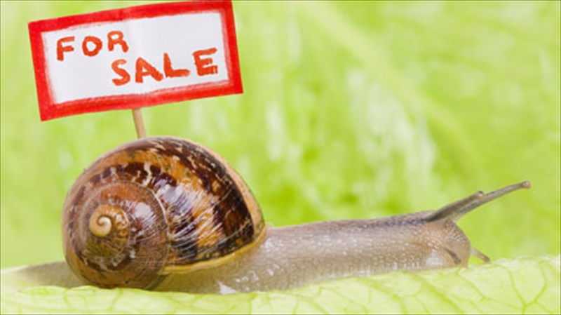 eseis-tha-dokimazate-auga-saligkarion