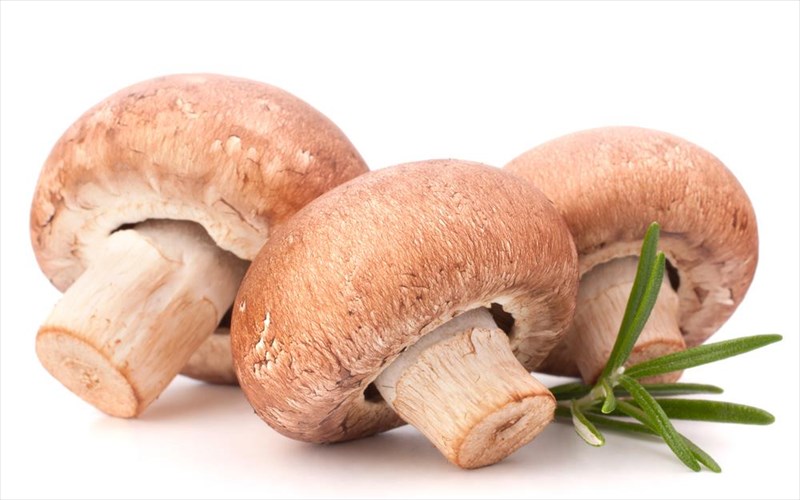 manitaria-pos-mporoun-na-dosoun-othisi-stin-ugeia-mas