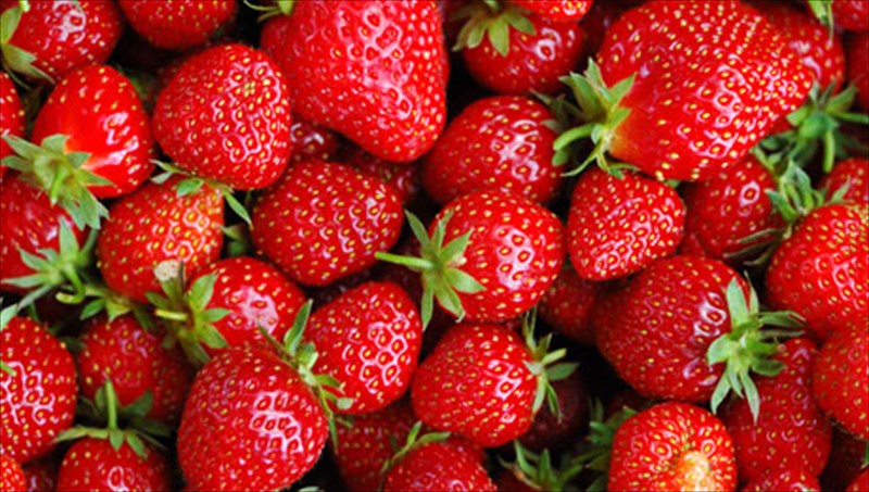 kali-kardia-me-10-trofes