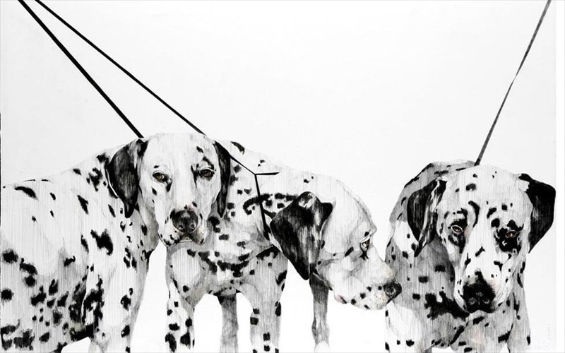 portreta-zoon-gemata-xromata