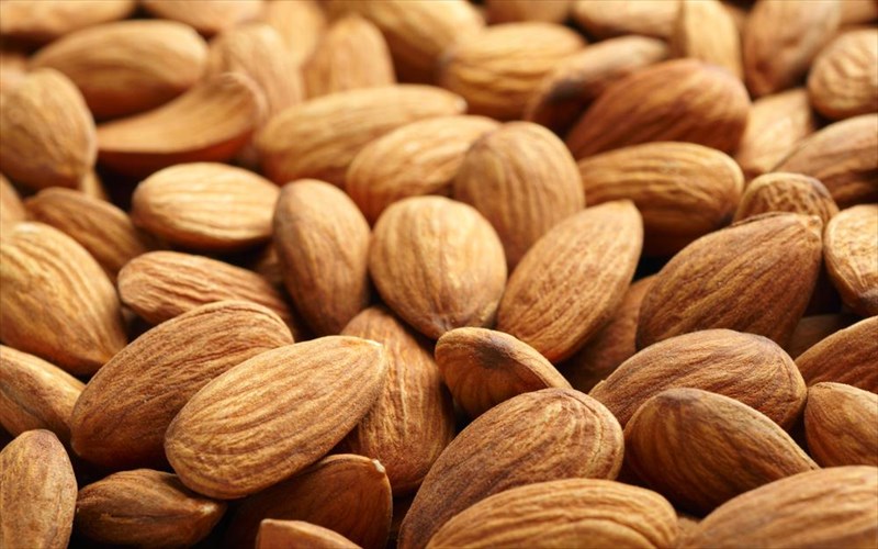 amugdalo-to-uperoplo-tis-diatrofis