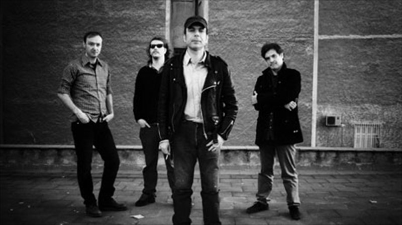 oi-sigmatropic-zontana-sto-6-dogs-dogs