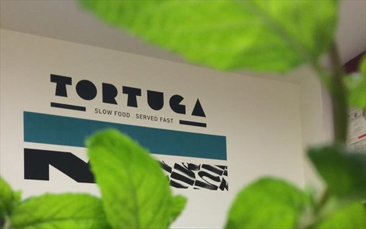 tortuga