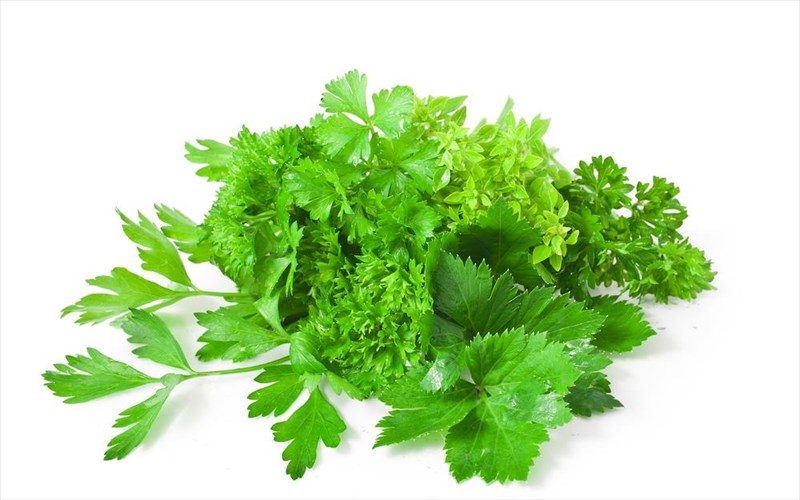 maintanos-kai-selino-gia-ugieis-oothikes