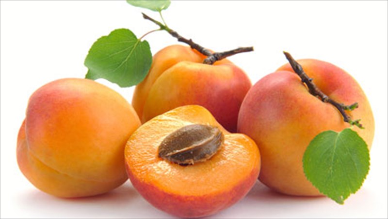 ta-diatrofika-ofeli-tou-berikokou