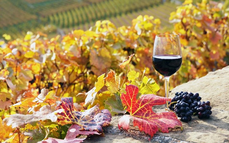 5-krasia-pou-tairiazoun-sto-fthinoporo-krasia-pou-tairiazoun-sto-fthinoporo