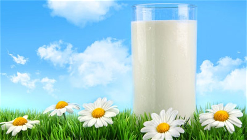 to-gala-kai-ta-me-gala-ofeli-tou