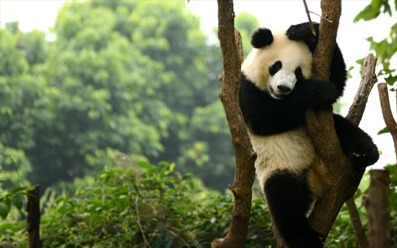 ta-7-kalutera-meri-tou-kosmou-gia-na-deite-spania-zoa-kalutera-meri-tou-kosmou-gia-na-deite-spania-zoa