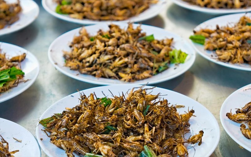 deka-eksotika-kreata-kai-pos-trogontai