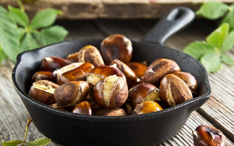 4-logoi-gia-na-fate-kastana-logoi-gia-na-fate-kastana