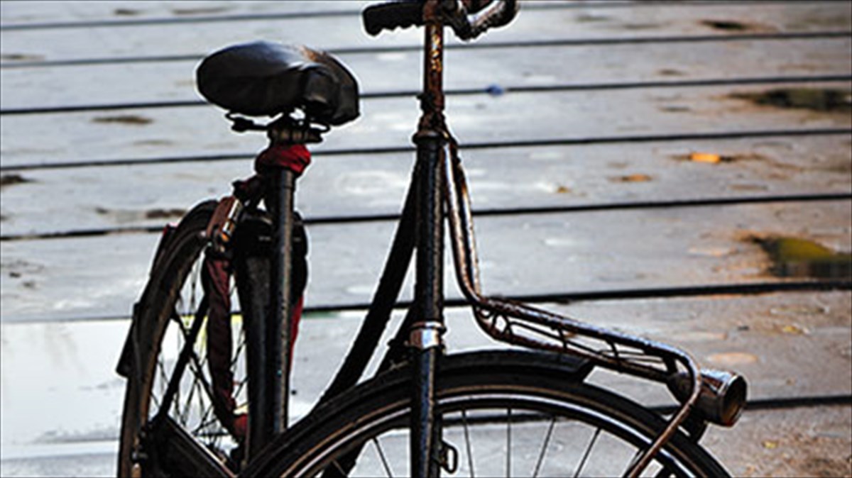 ta-podilata-exoun-tin-timitiki-tous-sto-en-delfois