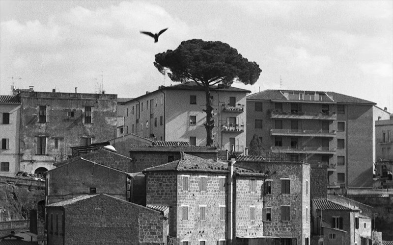 apotuponontas-ti-sxesi-tou-anthropou-me-ti-fusi