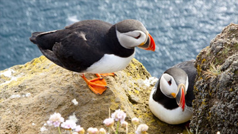 to-megaleio-tis-fusis-sta-perata-tou-kosmou