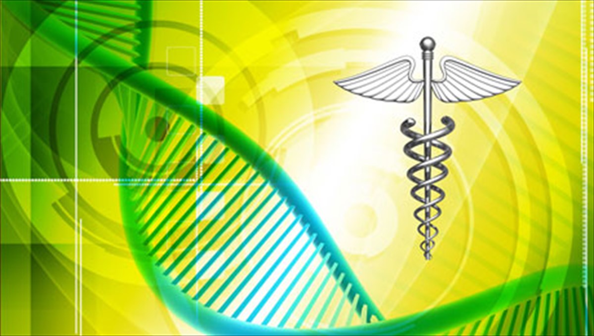 xenrieta-laks-i-aionia-zoi-ton-kuttaron-tis-aionia-zoi-ton-kuttaron-tis