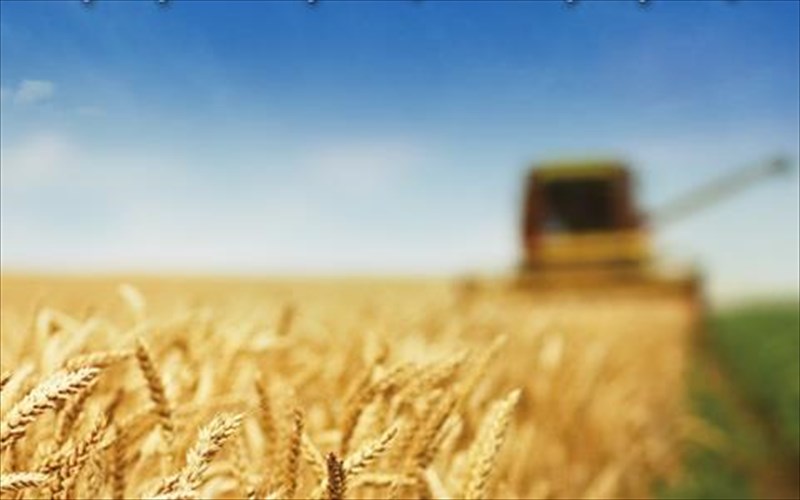 o-sabbas-tsitouridis-mila-gia-tin-eulogimeni-gi