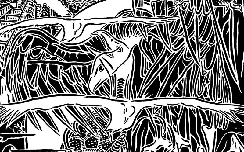 aspro-i-mauro-dipolo-mauro-dipolo