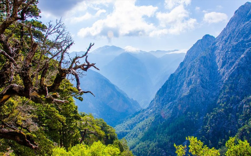 ta-faraggia-tou-bikou-kai-tis-samarias-ksexorizei-i-telegraph-telegraph