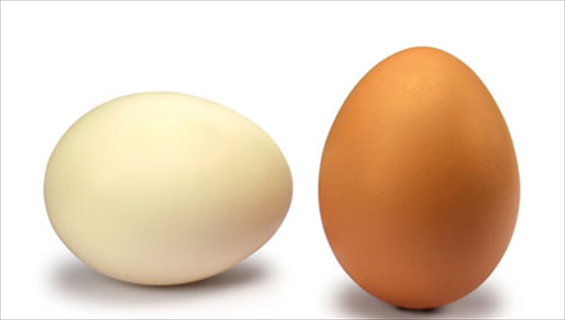 oi-9-muthoi-pou-kukloforoun-sta-super-markets-muthoi-pou-kukloforoun-sta-super-markets