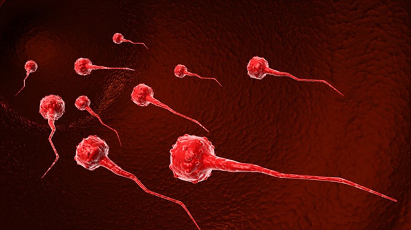 ston-patera-tis-eksosomatikis-gonimopoiisis-to-nompel-iatrikis