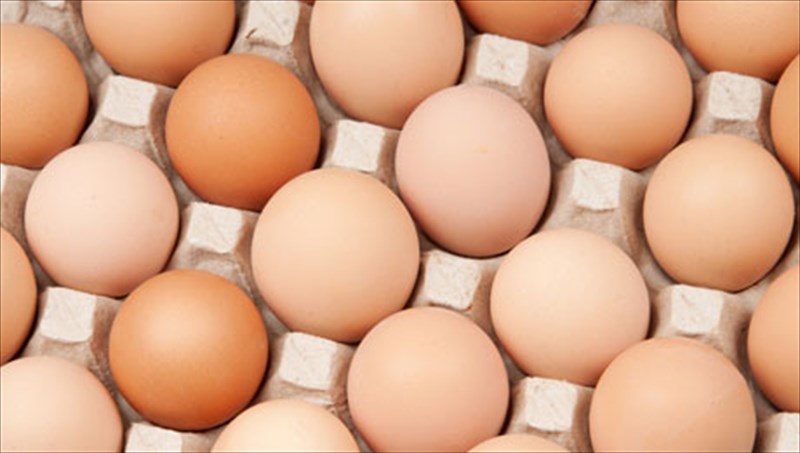 oi-trofes-pou-ginontai-apo-farmakofarmaki