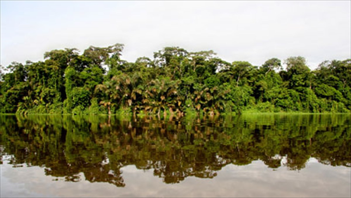 taksideuontas-se-meri-muthika