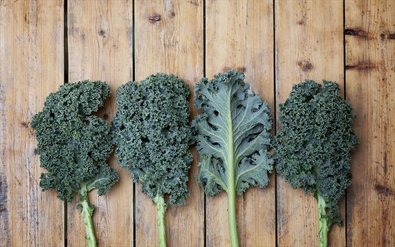 katsaro-laxano-ta-10-pio-simantika-ofeli-tou-stin-ugeia